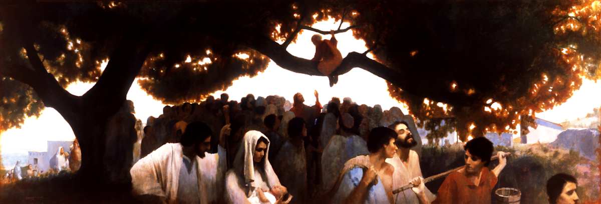 Zaccheus by J. Kirk Richards 