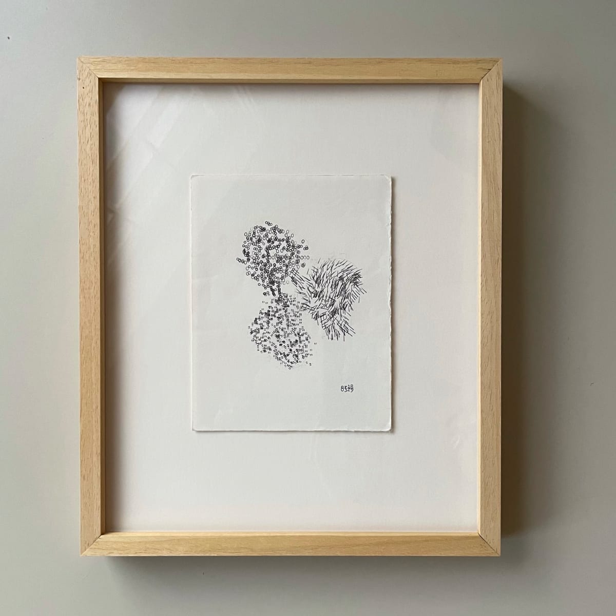 flora, Image 1.