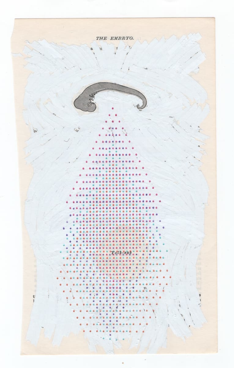 the embryo, Image 1.