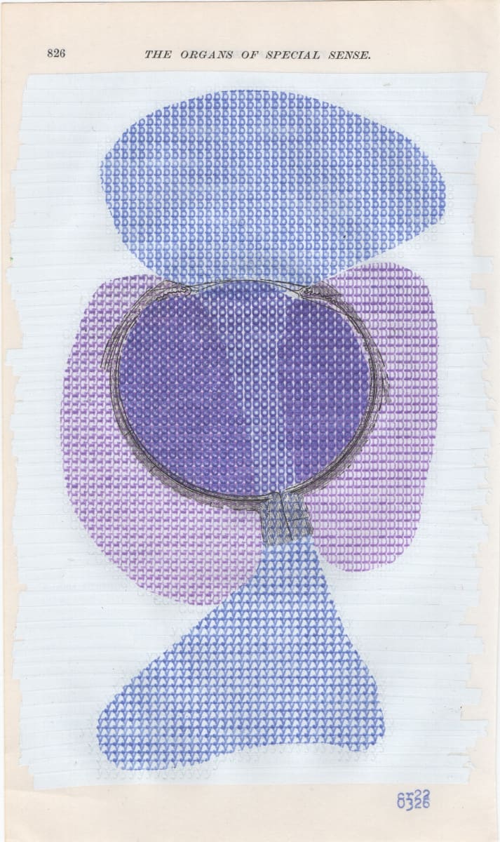 gray's anatomy: the organs of special sense by Chad Reynolds 