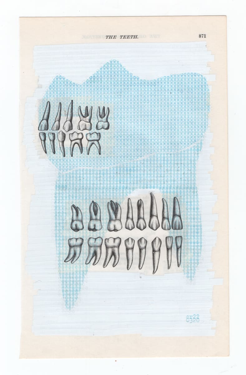 gray's anatomy: the teeth by Chad Reynolds 