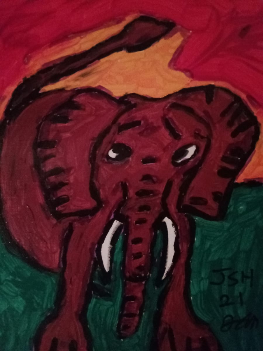 Erwin The Elephant  Image: By Jonathan Sammuel Harrold