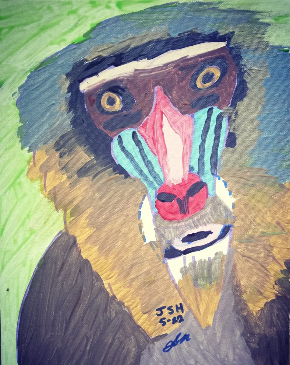 Leland The Mandrill Monkey  Image: By Jonathan Sammuel Harrold 