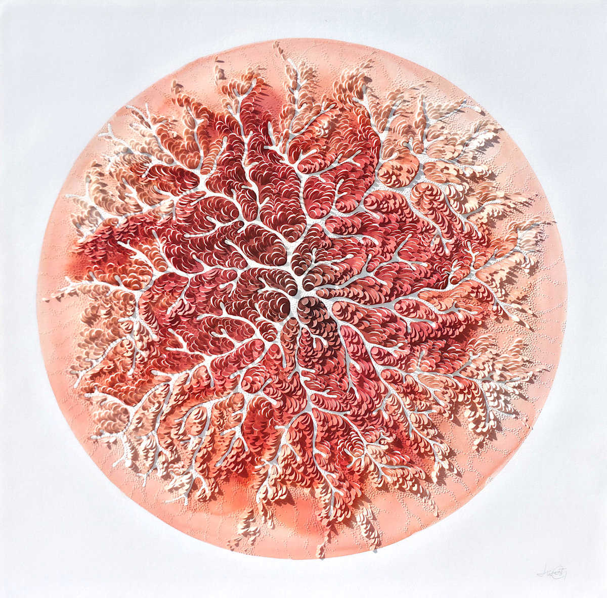 Coral Series by Lis Costa, Image 1.
