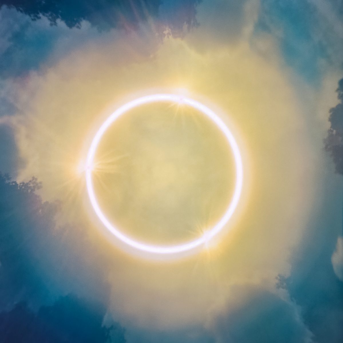 Solar Drawing: Fall, Solar Maximum, single-continuous, flares by Betsy Kenyon 