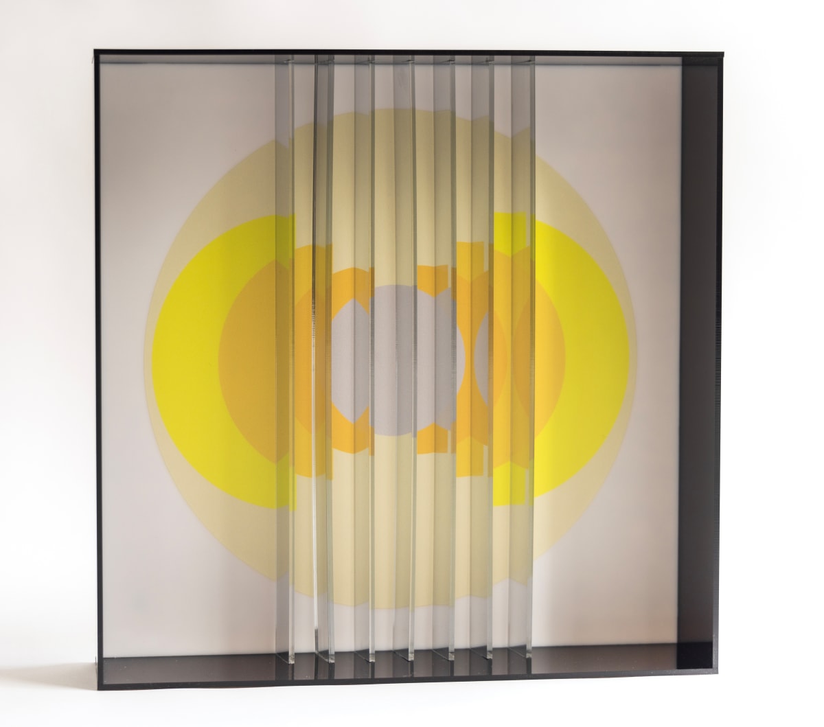 Expanded Vision III by Blanca Estela Rodriguez 