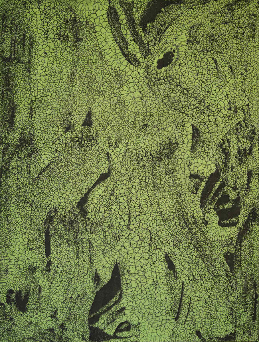 Green Marsh, 2/6 by Margaret E. Murray, Image 1.