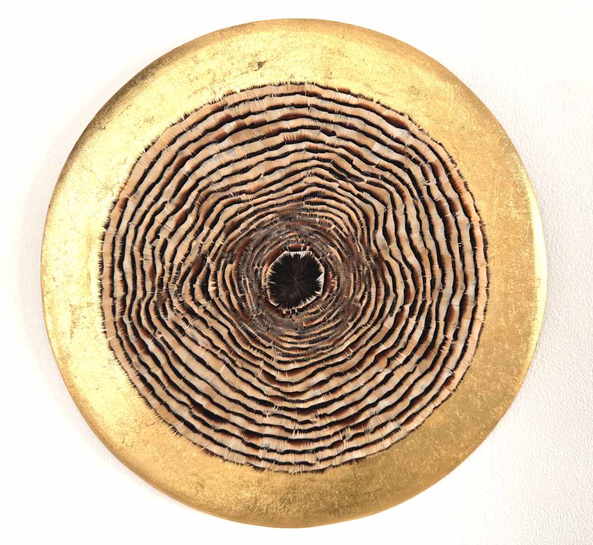Growth Rings II by Henar Iglesias 