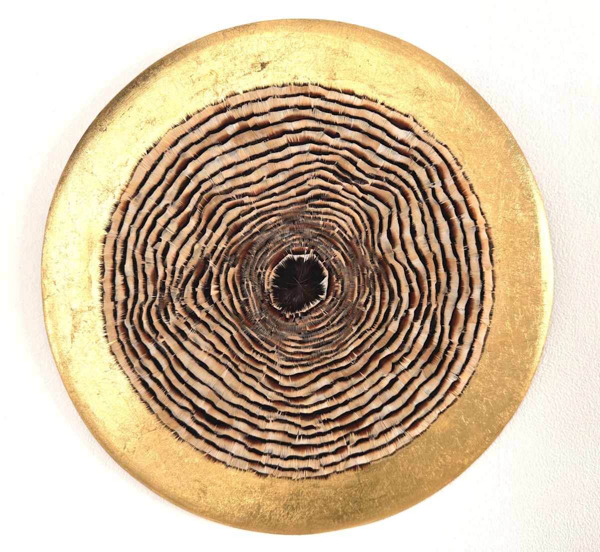 Growth Rings II by Henar Iglesias, Image 3.