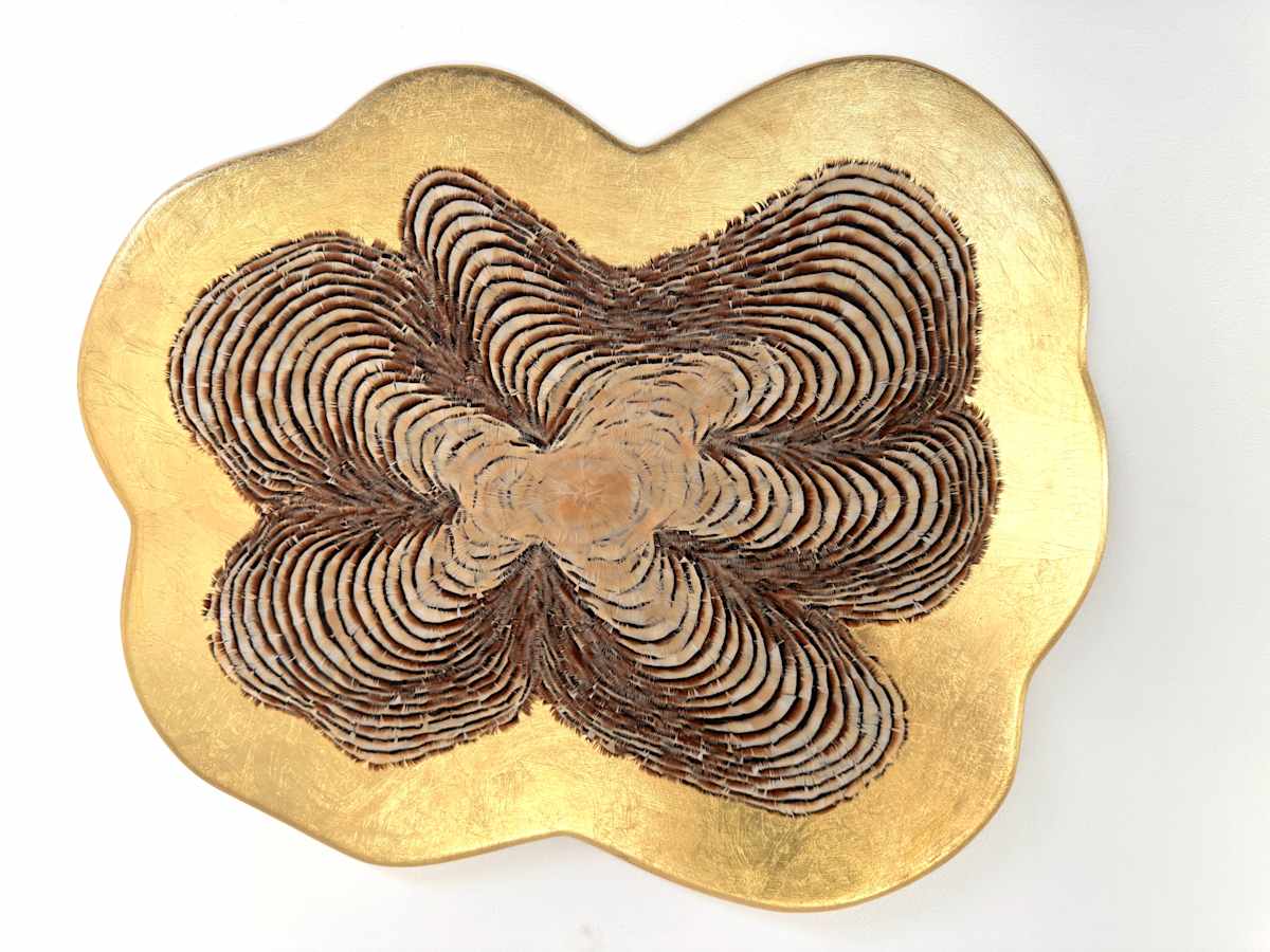 Growth Rings IV by Henar Iglesias, Image 5.