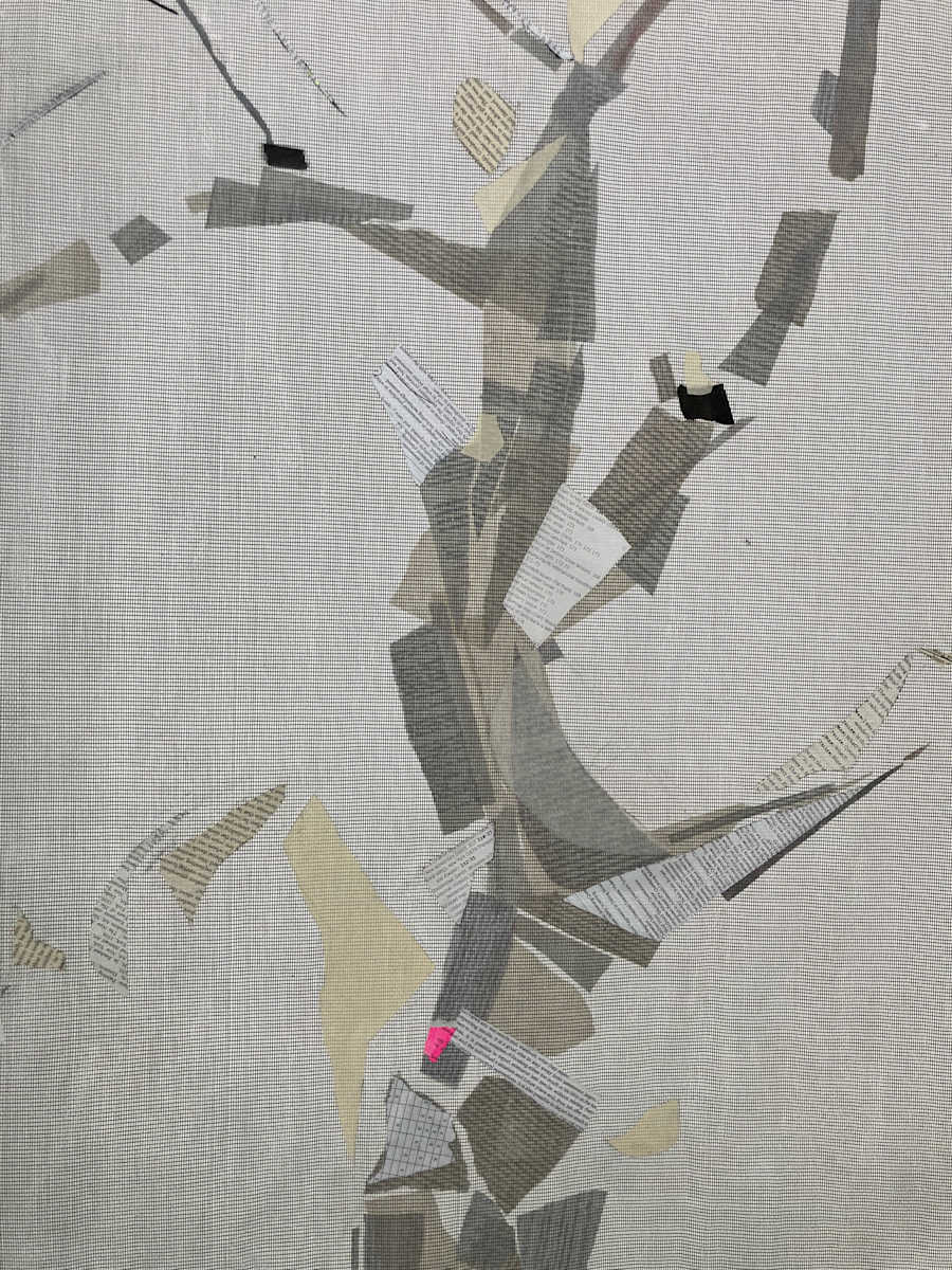 Extreme Focusing (1) by Ella Noe, Image 1.