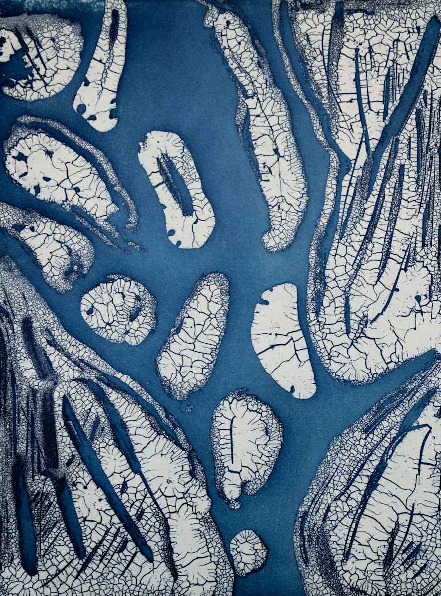 Arctic Floe, 2/4 by Margaret E. Murray, Image 1.