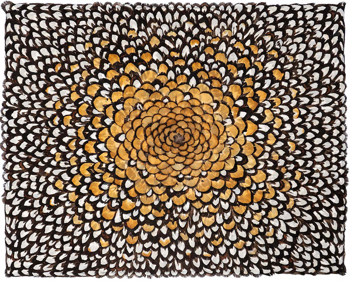 The Light of the Shadow by Henar Iglesias, Image 1.
