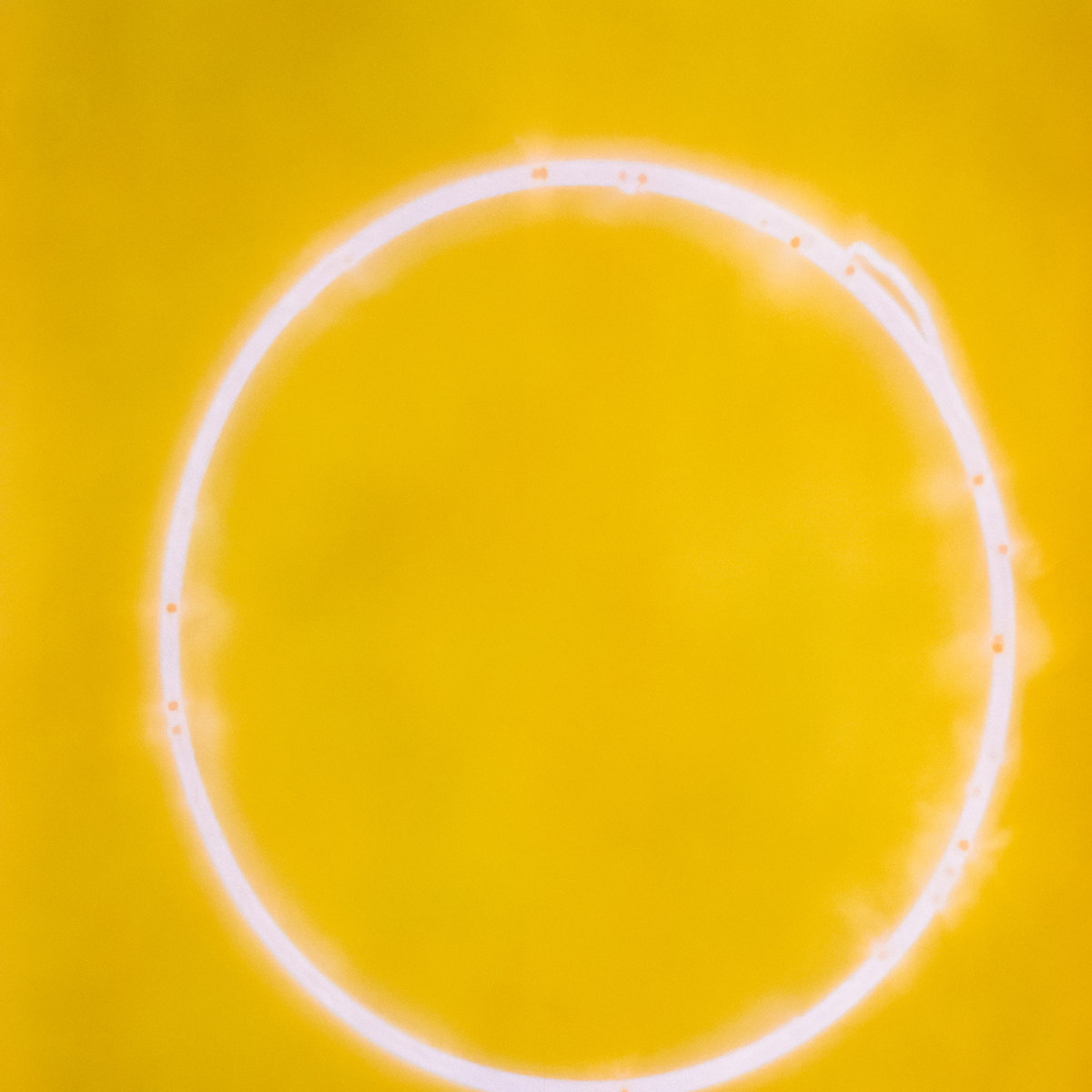 Solar Drawing: Summer, Solar Maximum, 2024, double-continuous, flares by Betsy Kenyon, Image 1.