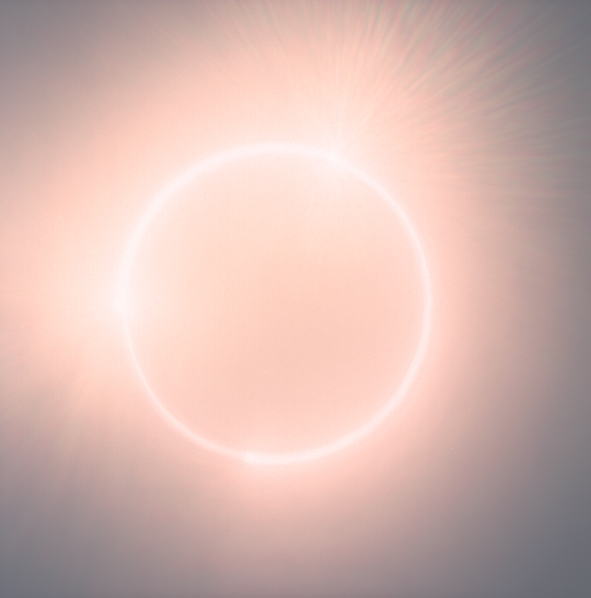 Solar Drawing: Spring, Solar Maximum, 2025, single-continuous, flares by Betsy Kenyon 