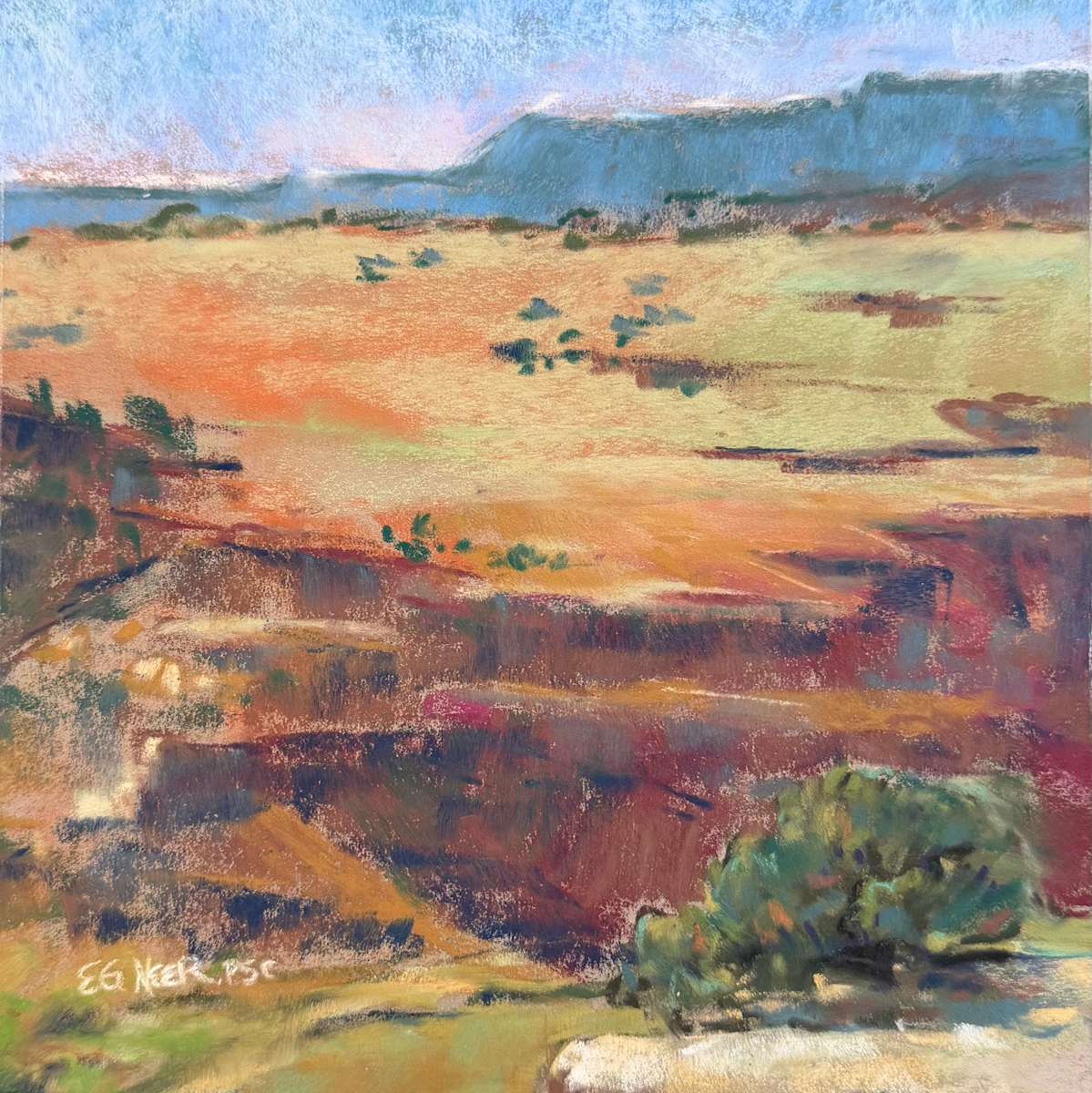 Contemplating the Canyon by Elizabeth G Neer, Image 1.