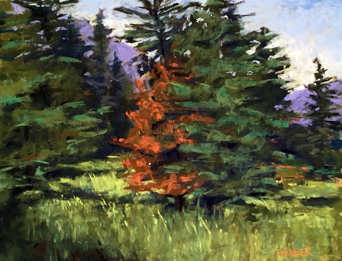 Evergreen Breezes by Elizabeth G Neer 