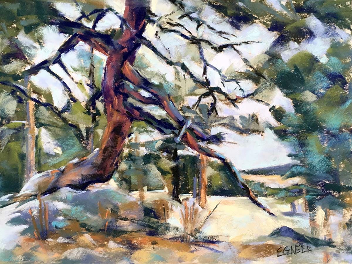 Mt Falcon Prayer Tree by Elizabeth G Neer, Image 1.