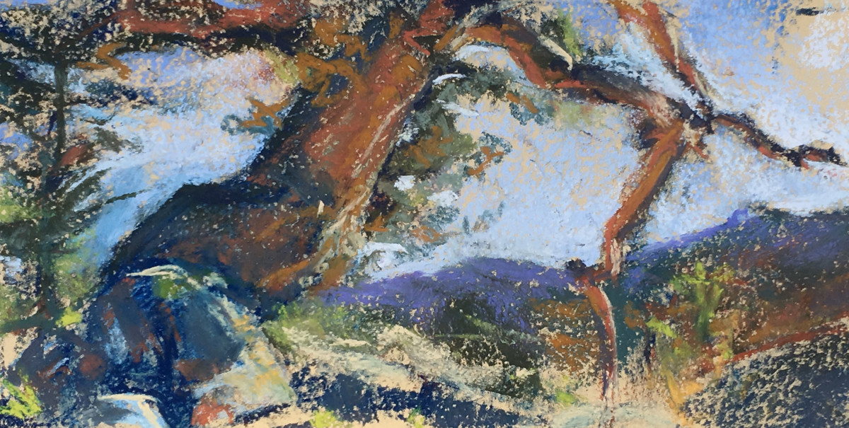 Prayer Tree Study by Elizabeth G Neer 