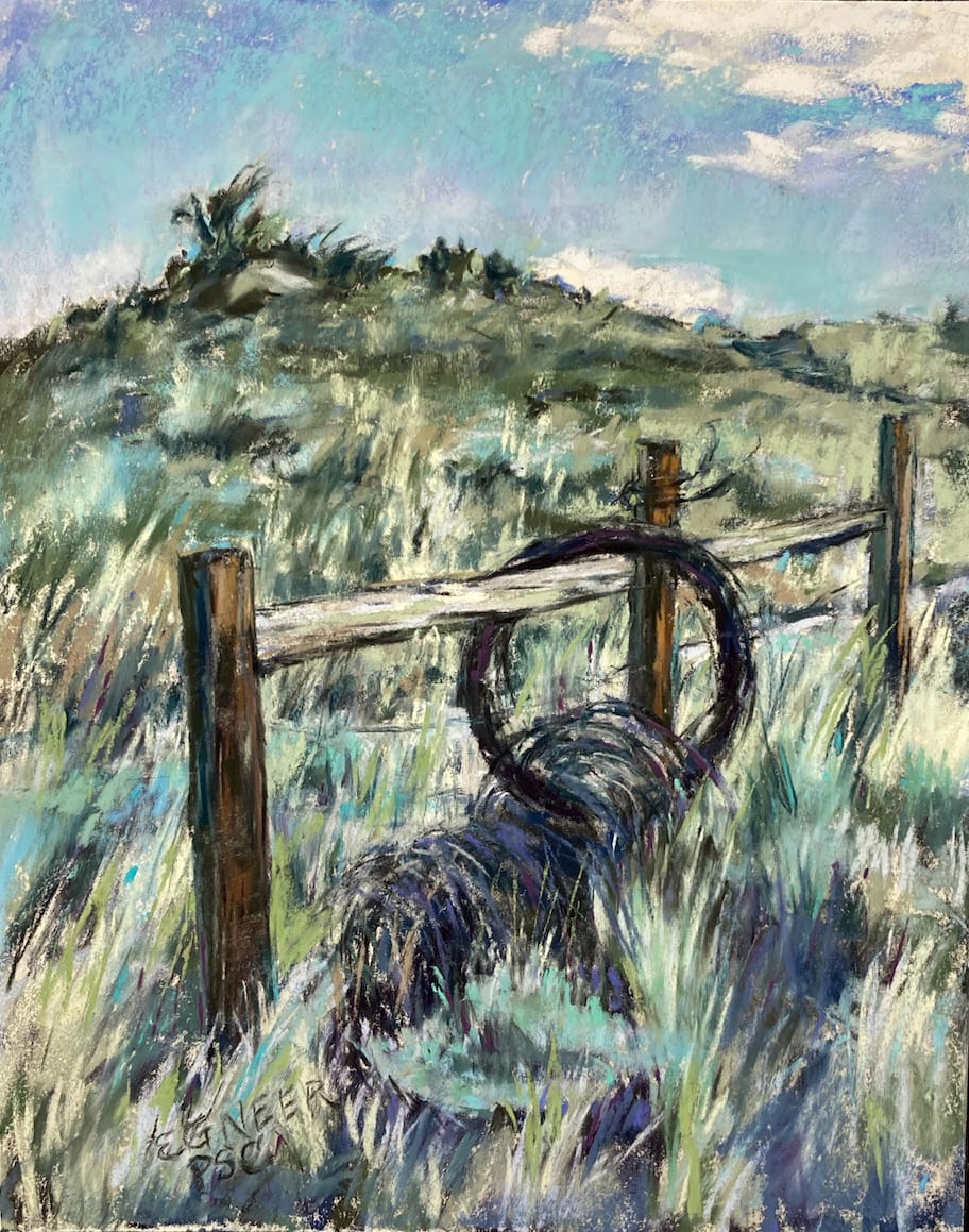 Western Hula Hoop by Elizabeth G Neer, Image 1.