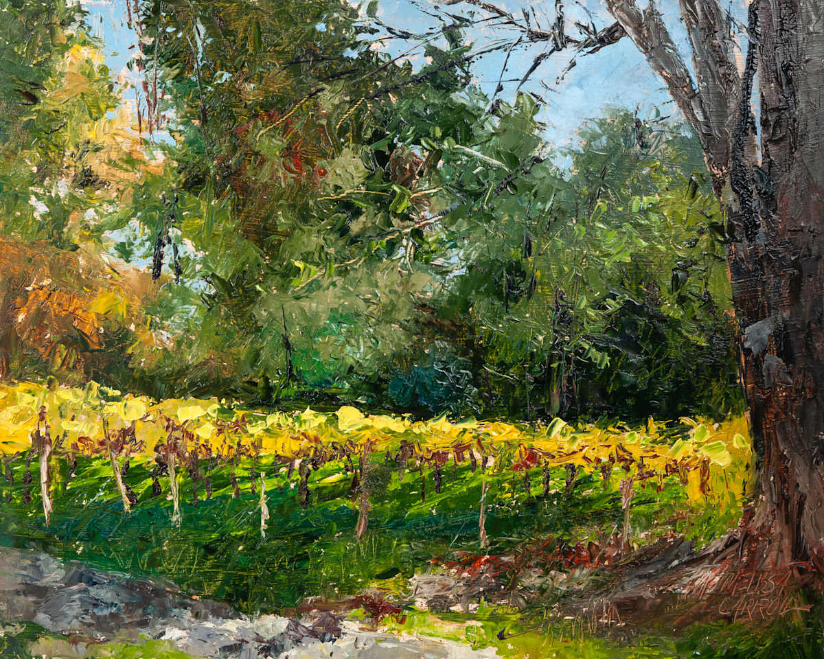 Nissley Sunshine by Melissa Carroll, Image 2.