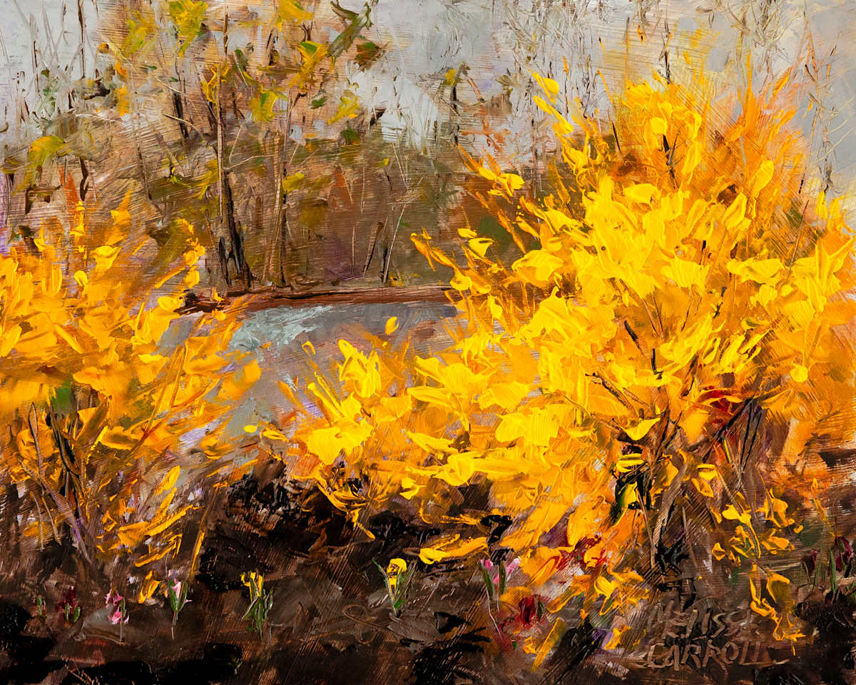 Forsythia Dance by Melissa Carroll 