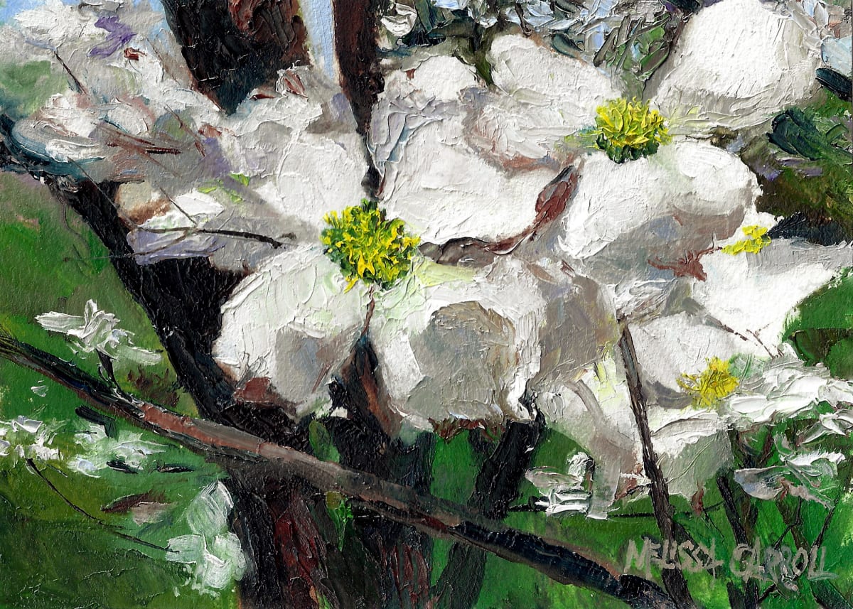 Dogwood by Melissa Carroll 