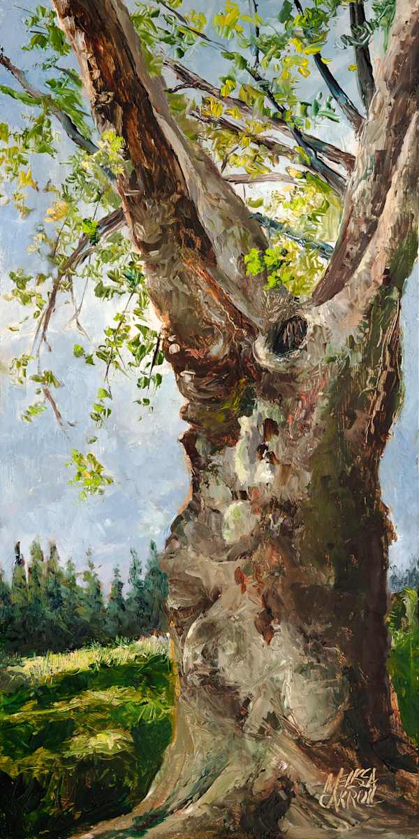 Branching Out by Melissa Carroll, Image 1.