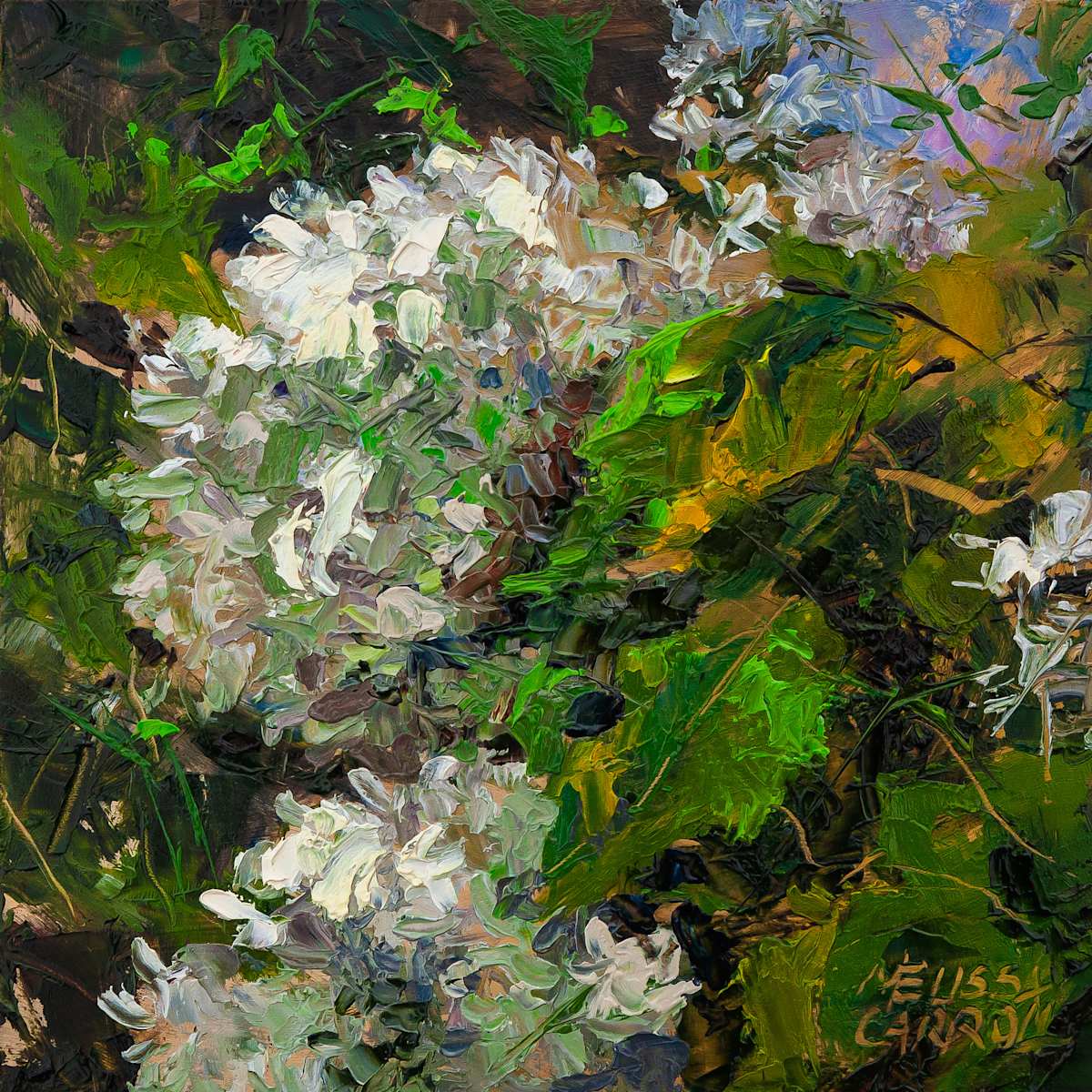 Summer Snowballs by Melissa Carroll 