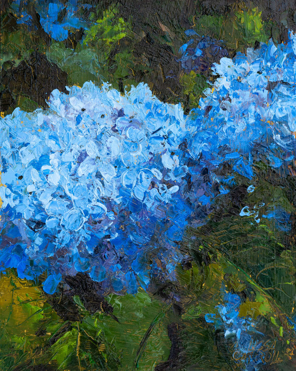 Hydrangeas by Melissa Carroll 