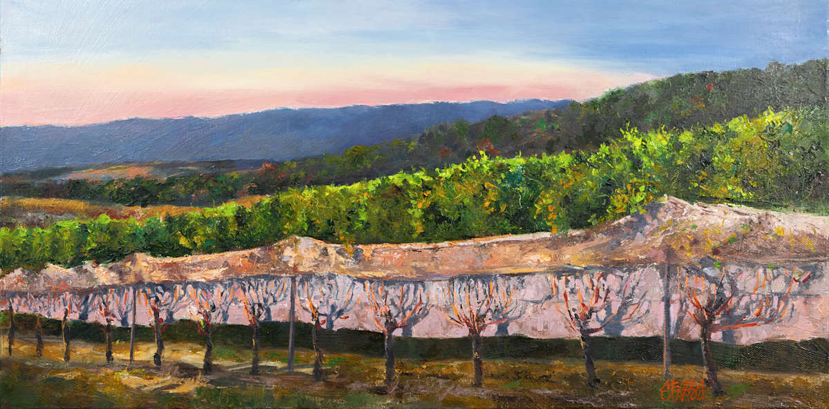 Stony Run Vineyard by Melissa Carroll 