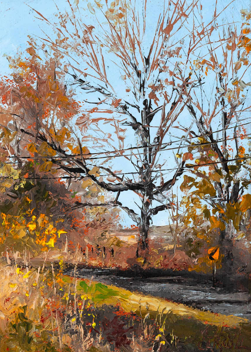 Druid Hill Bend by Melissa Carroll 