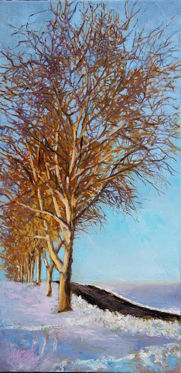 Sycamore Row (Bridge Valley Rd) by Melissa Carroll, Image 1.