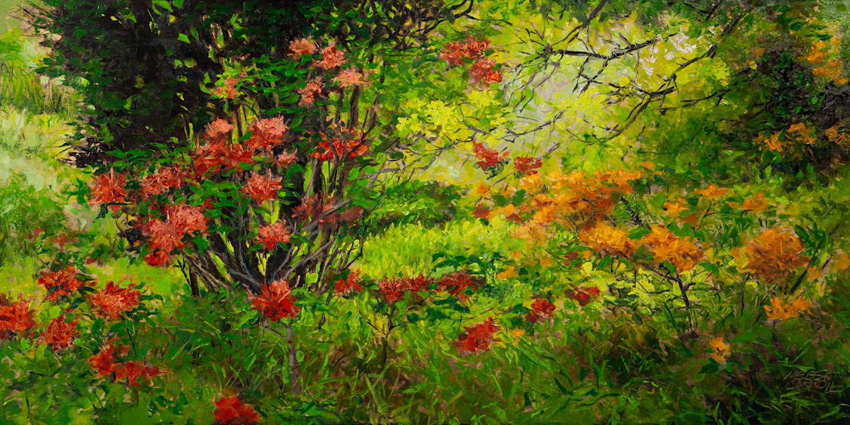 Rhododendron Rally by Melissa Carroll, Image 2.