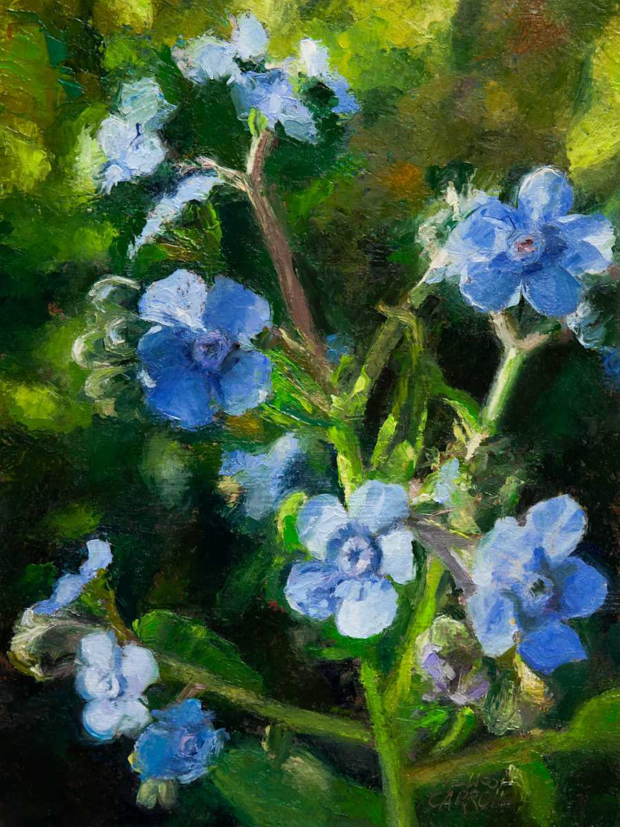 Garden Secret by Melissa Carroll, Image 1.