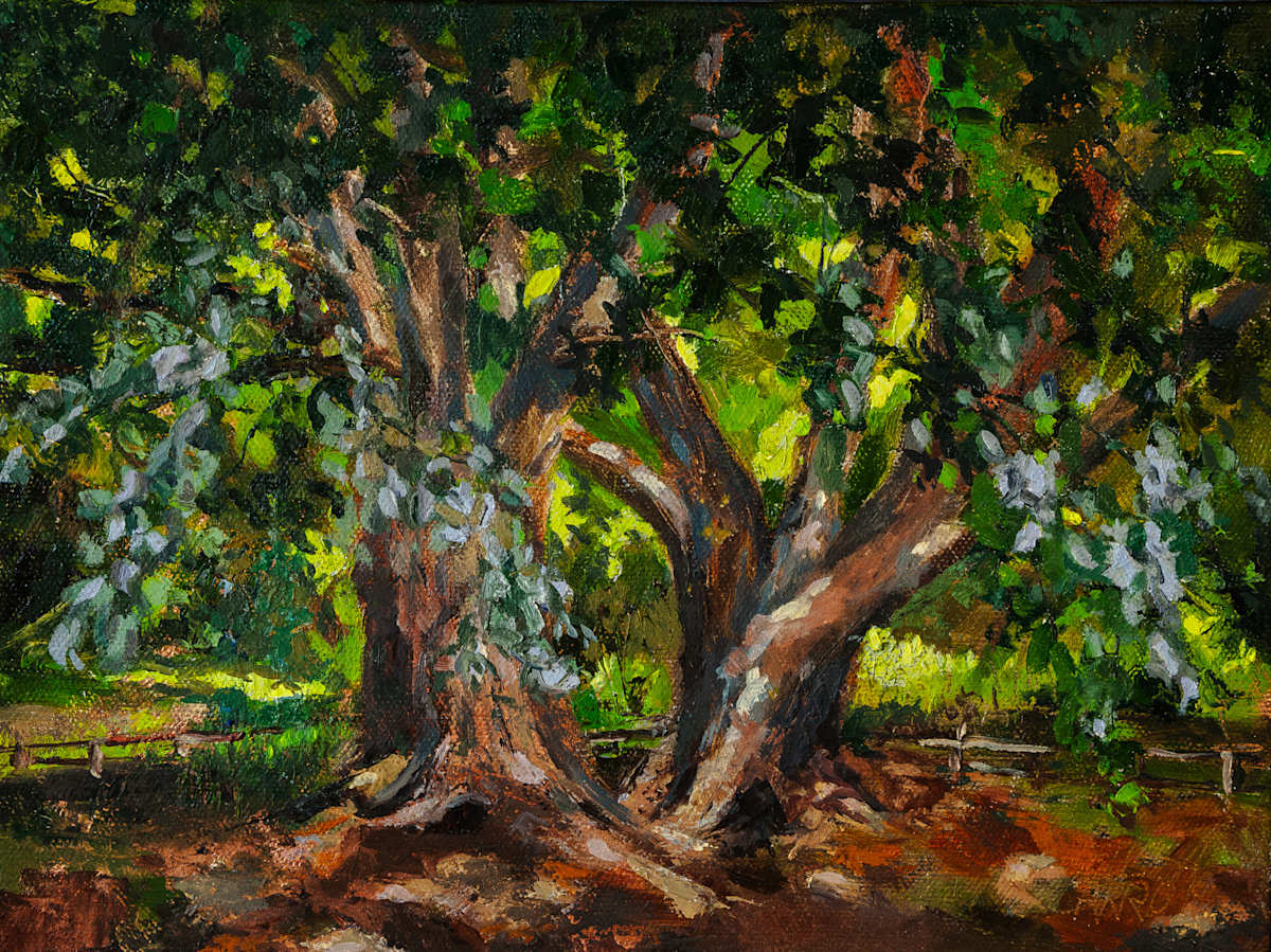 Katsura Light Dance by Melissa Carroll, Image 1.