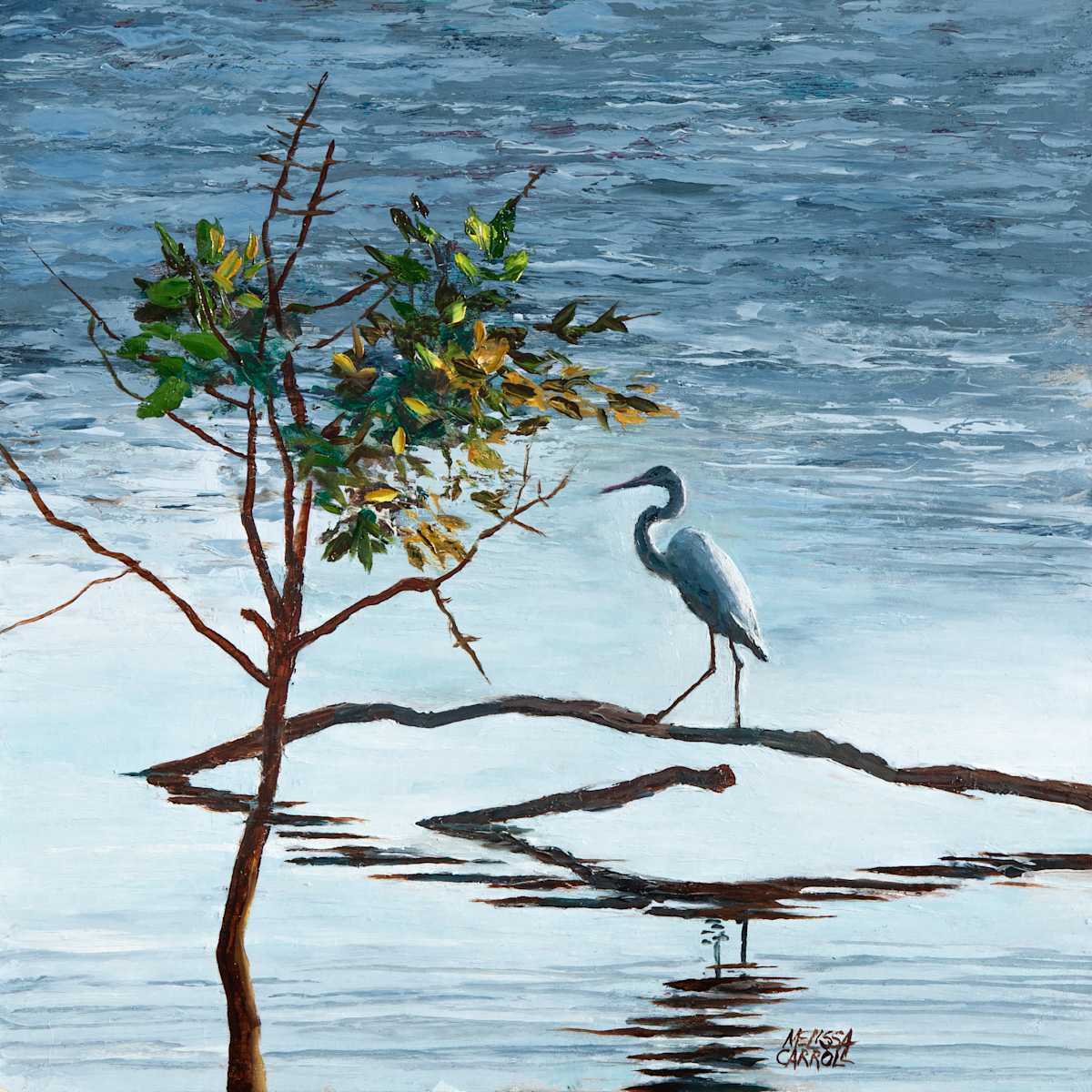 Egret, Image 3.