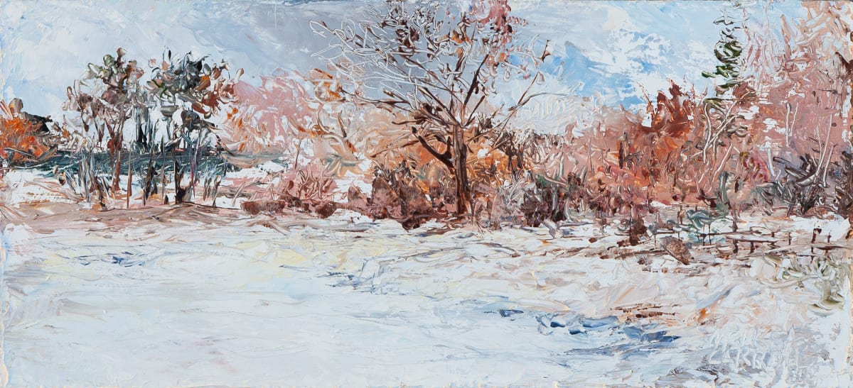 Imagine the Snow by Melissa Carroll 