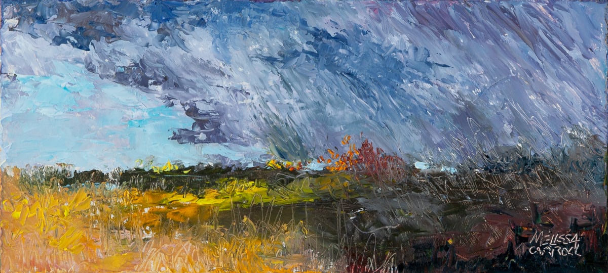 Storm's Edge by Melissa Carroll 