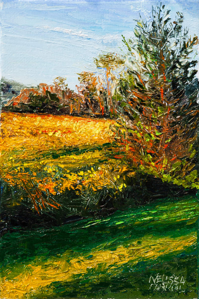 Yellow Fields Forever by Melissa Carroll 