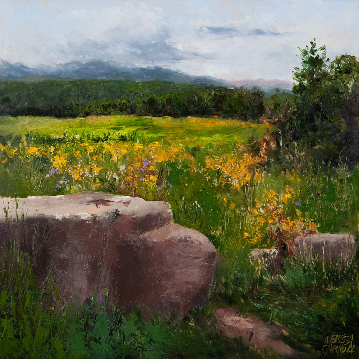 Meadow View by Melissa Carroll, Image 1.