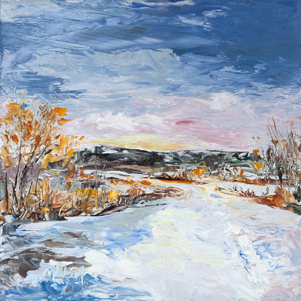 Snowy Path, Image 1.