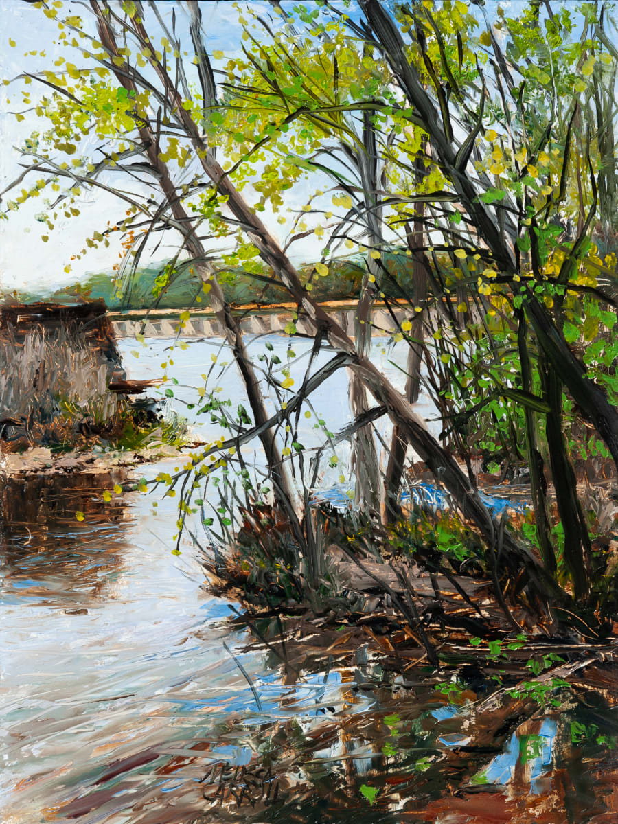 The Other Bridge by Melissa Carroll 