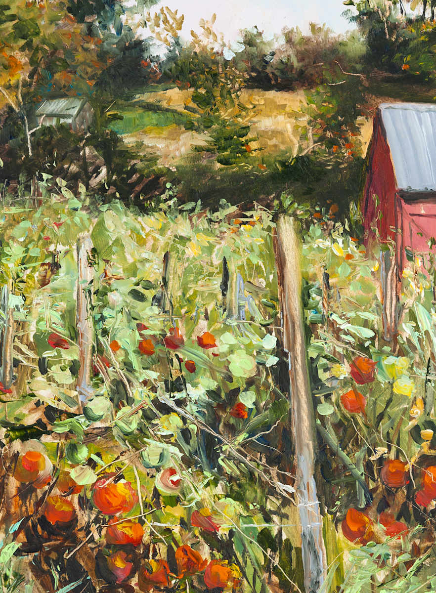 Tomatoes!, Image 1.