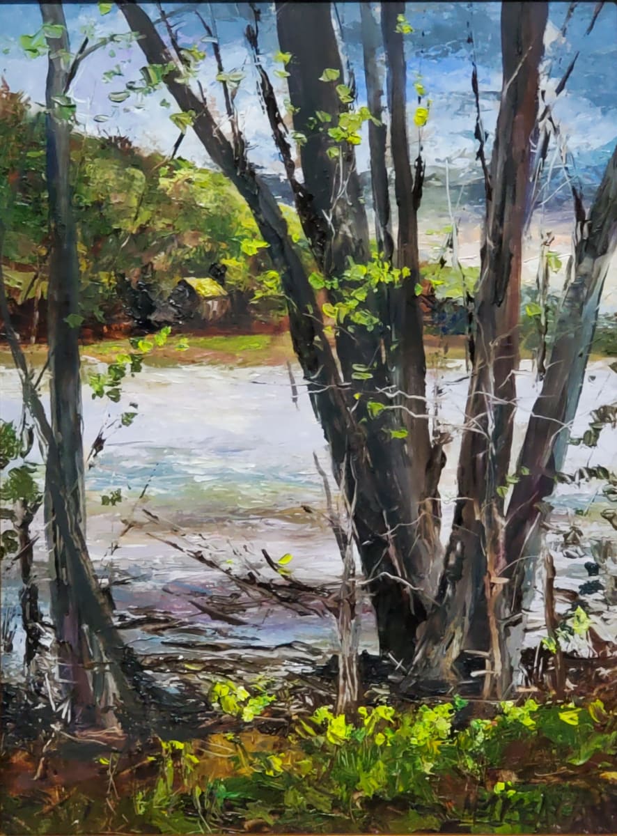 Vesta Area River View by Melissa Carroll 