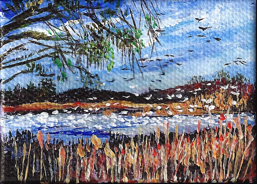 Woods Edge Snow Geese, Image 3.