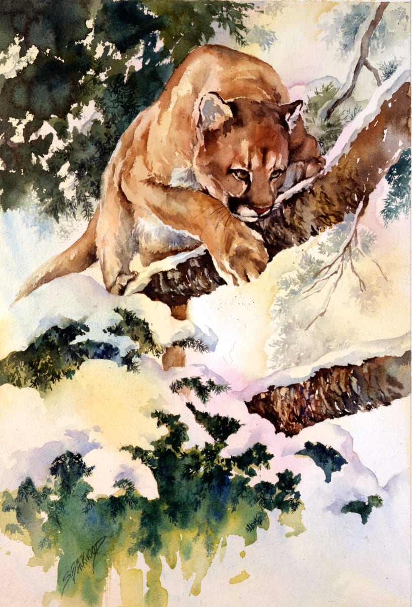 Lion in Winter  Image: I love cats, all sizes and all natures. This Mountain Lion is about to leap... maybe for a dinner?