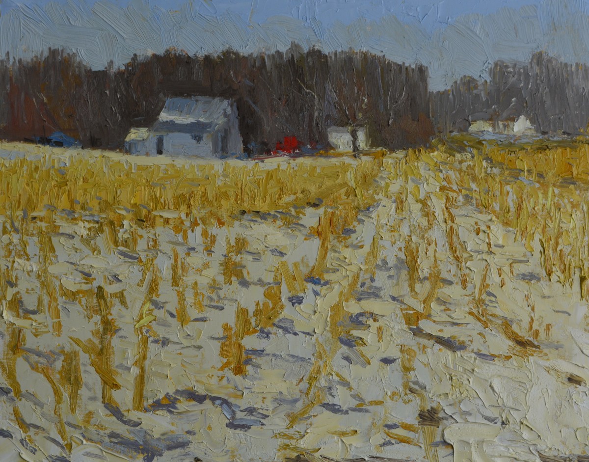 Snow in the Cornfield by carol strock wasson 