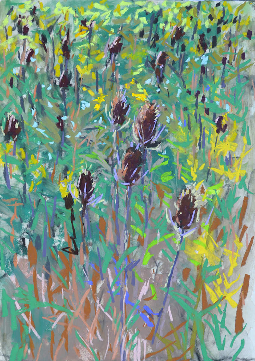 Fall Praire Sketch by carol strock wasson, Image 1.