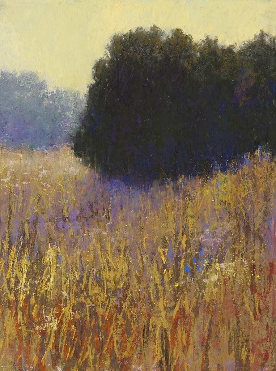 Late Summer by carol strock wasson 